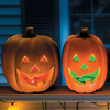 Color Changing Pumpkin Lights