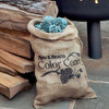 Color Cones - Pine Cones That Create Blue and Green Fireplace Flames