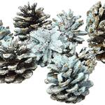 Color Cones - Pine Cones That Create Blue and Green Fireplace Flames