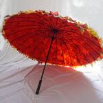 Colorful Autumn Leaves Umbrella