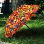 Colorful Autumn Leaves Umbrella