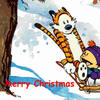 The Complete Calvin and Hobbes by Bill Watterson