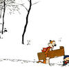 The Complete Calvin and Hobbes by Bill Watterson