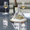 Cone-Shaped Glass Dome Covered Server