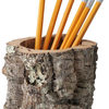 Cork Bark Pencil Holder / Desktop Receptacle