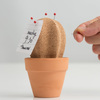 Cork Cactus - Desktop Organizer with Push-Pins Spikes