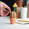 Cork Cactus - Desktop Organizer with Push-Pins Spikes