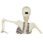 Costco Giant Ground-Breaking Skeleton with Red LED Glowing Eyes