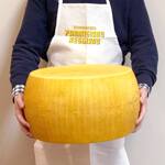 Costco Whole Wheel of Parmigiano Reggiano Cheese - 72 Pounds!