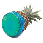 CoverBlubber - Reusable Stretchy Food Saver Covers