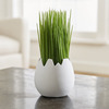 Cracked Eggshell Vase
