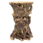 Craggy Bark Tree Ent Side Table