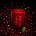 The Crandle - Jellied Cranberry Sauce from a Can Scented Candle