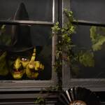 Creepy Animated Window Tapping Witch