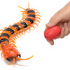 Creepy-Crawly Remote Control Centipede