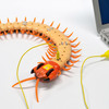 Creepy-Crawly Remote Control Centipede
