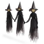 Creepy Illuminated Halloween Yard Witches