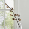 Creepy Skull Twig Stems