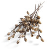Creepy Skull Twig Stems