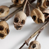 Creepy Skull Twig Stems