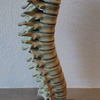Creepy Spinal Column Candleholder