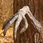 Creepy Tree Face and Branch Arms Set