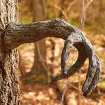 Creepy Tree Face and Branch Arms Set