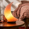 Crescent Moon Himalayan Salt Lamp