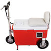 Cruzin' Cooler - Rideable Electric Beverage Cooler