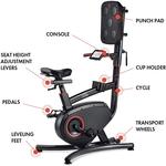 LifeSpan Fitness Cycle Boxer - Upright Exercise Bike with Interactive Boxing Punch Pad