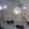 Dandelight - Made From Real Dandelion Seeds