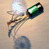 Dandelight - Made From Real Dandelion Seeds