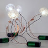 Dandelight - Made From Real Dandelion Seeds