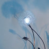 Dandelight - Made From Real Dandelion Seeds