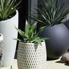 Dark Gray Outdoor Sphere Planters