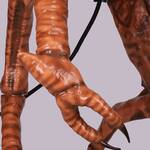 David Cronenberg's The Fly - Life-Sized Animatronic Brundlefly Statue