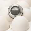 DaysAgo Digital Refrigerator Timers
