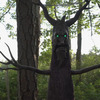 Deadly Roots - Giant Animatronic Haunted Tree