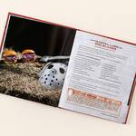 Death for Dinner Cookbook - 60 Gruesome Recipes and Cocktails Based on Horror Films