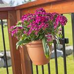 Deck Railing Round Planter Holders