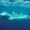 DeepFlight Dragon - World's Easiest to Pilot Personal Submarine