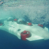 DeepFlight Dragon - World's Easiest to Pilot Personal Submarine