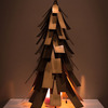 Desert Steel Evergreen Luminary