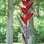 Desert Steel Heliconia Flower Standing Bird Feeder