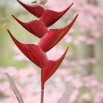 Desert Steel Heliconia Flower Standing Bird Feeder