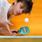 Desktop Pickleball