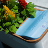 DewPlanter - Water Generating Planter