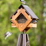 Diamond Bird Feeder Obelisk
