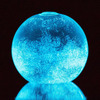 Dino Sphere - Bioluminescent Plankton Mini Aquarium