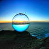 Dino Sphere - Bioluminescent Plankton Mini Aquarium